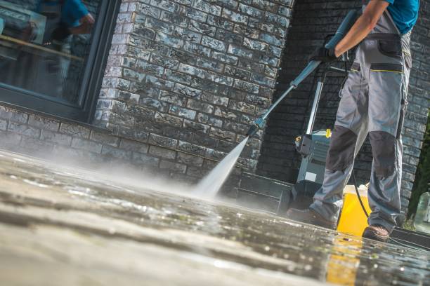 Trusted Argo, AL Pressure Washing Services Experts
